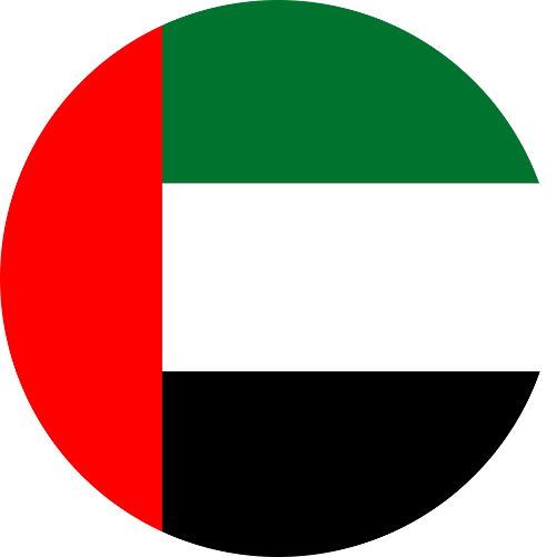 Dubai (UAE) flag